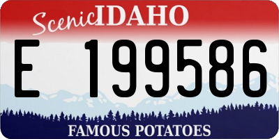 ID license plate E199586