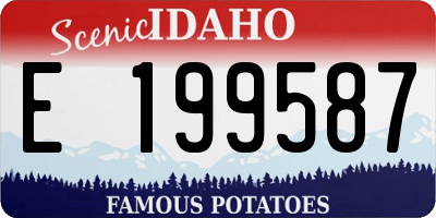 ID license plate E199587