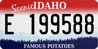 ID license plate E199588