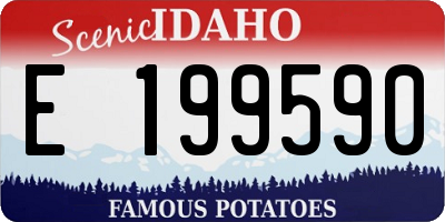 ID license plate E199590