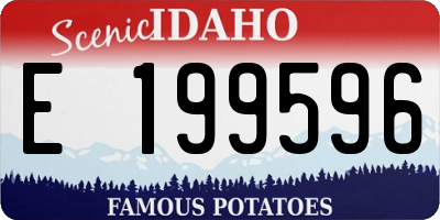 ID license plate E199596