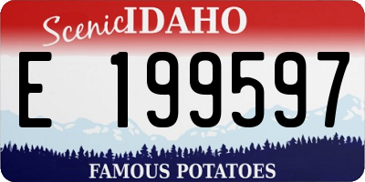 ID license plate E199597