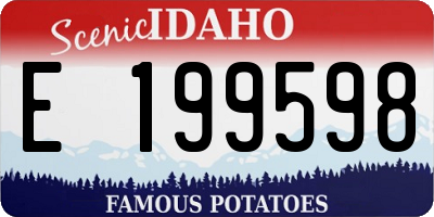 ID license plate E199598