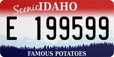 ID license plate E199599