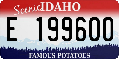 ID license plate E199600