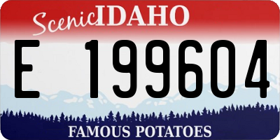 ID license plate E199604