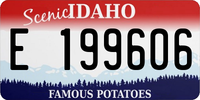 ID license plate E199606