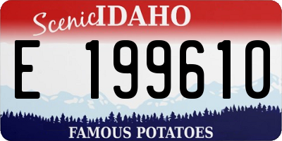ID license plate E199610