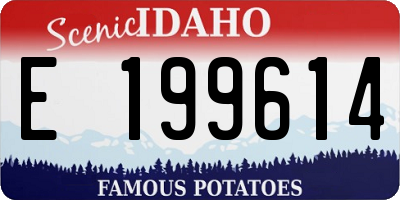 ID license plate E199614
