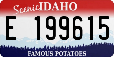 ID license plate E199615