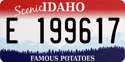 ID license plate E199617