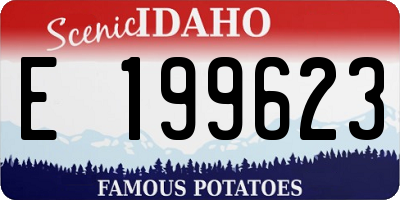 ID license plate E199623