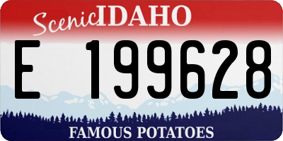 ID license plate E199628