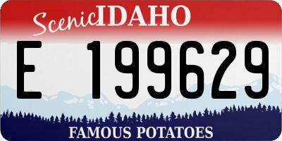 ID license plate E199629