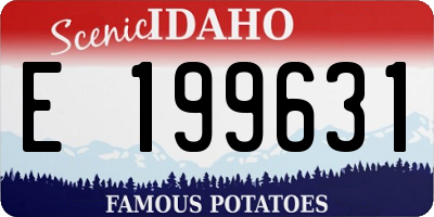 ID license plate E199631