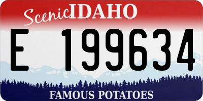 ID license plate E199634
