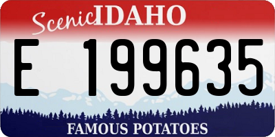 ID license plate E199635