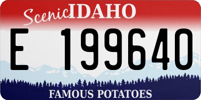 ID license plate E199640