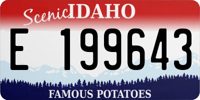 ID license plate E199643