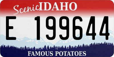 ID license plate E199644