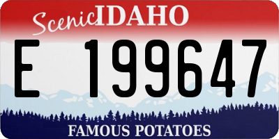 ID license plate E199647