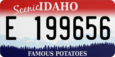 ID license plate E199656