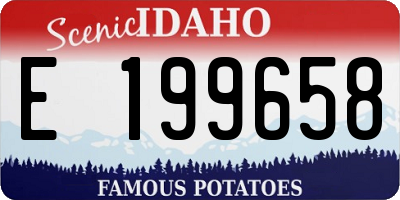 ID license plate E199658