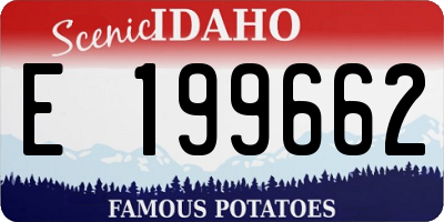 ID license plate E199662