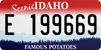 ID license plate E199669