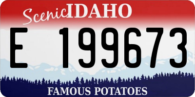 ID license plate E199673