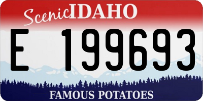 ID license plate E199693