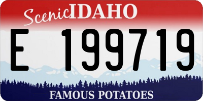 ID license plate E199719