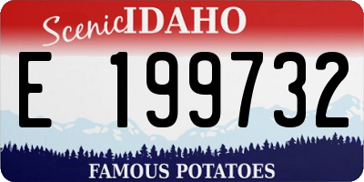 ID license plate E199732
