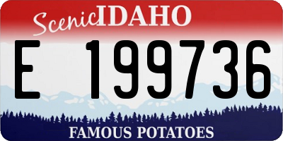 ID license plate E199736