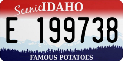 ID license plate E199738