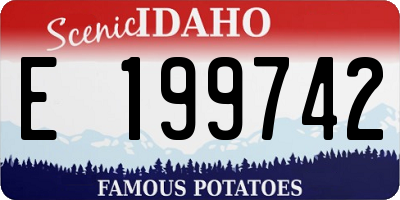 ID license plate E199742