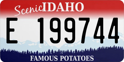 ID license plate E199744