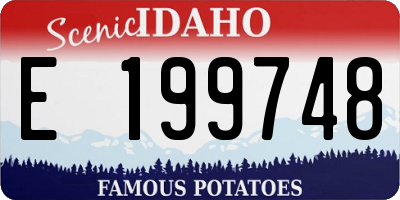 ID license plate E199748