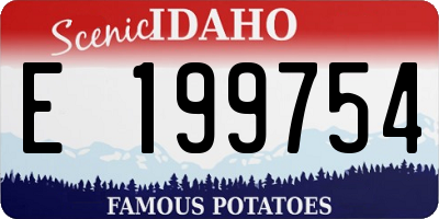 ID license plate E199754