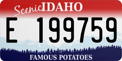 ID license plate E199759
