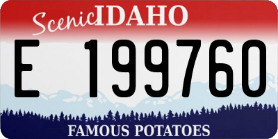 ID license plate E199760