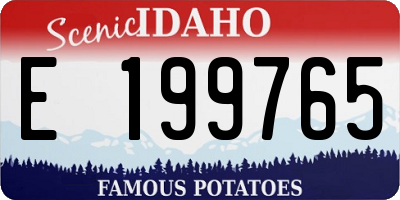 ID license plate E199765