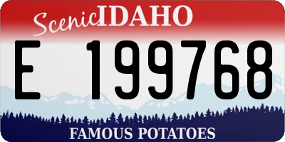 ID license plate E199768
