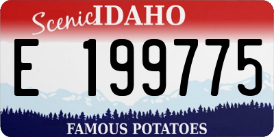 ID license plate E199775