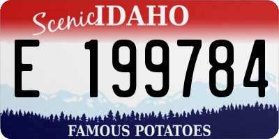 ID license plate E199784