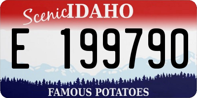 ID license plate E199790