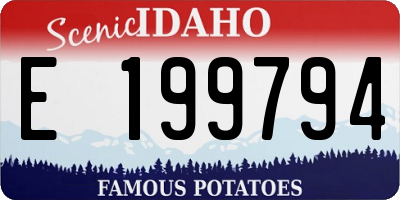 ID license plate E199794