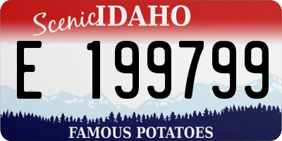 ID license plate E199799