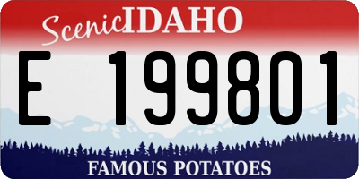 ID license plate E199801