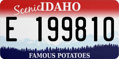 ID license plate E199810